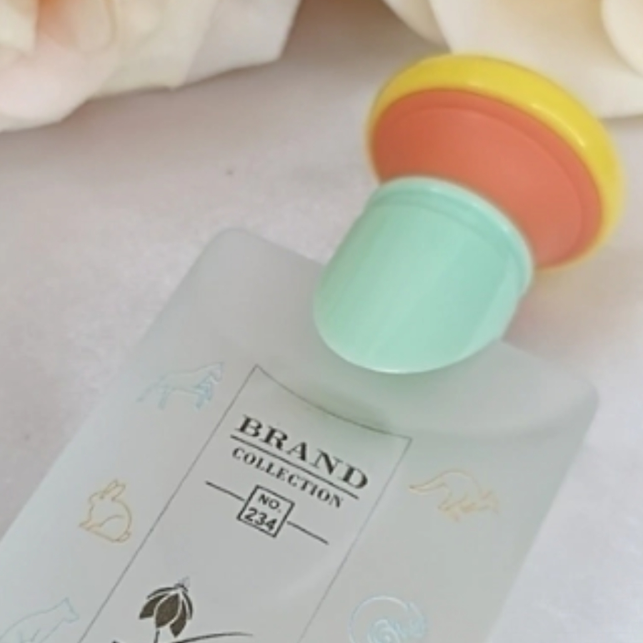 Perfume BRAND COLLECTION N°234 - 25ML - Imagem 4