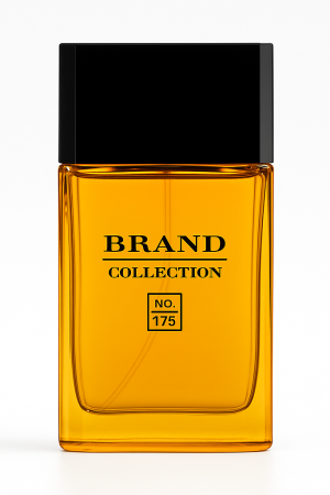 ChatGPT-Image-23-de-mai.-de-2025-12_41_19-1.png ChatGPT-Image-23-de-mai.-de-2025-12_41_19-1.png